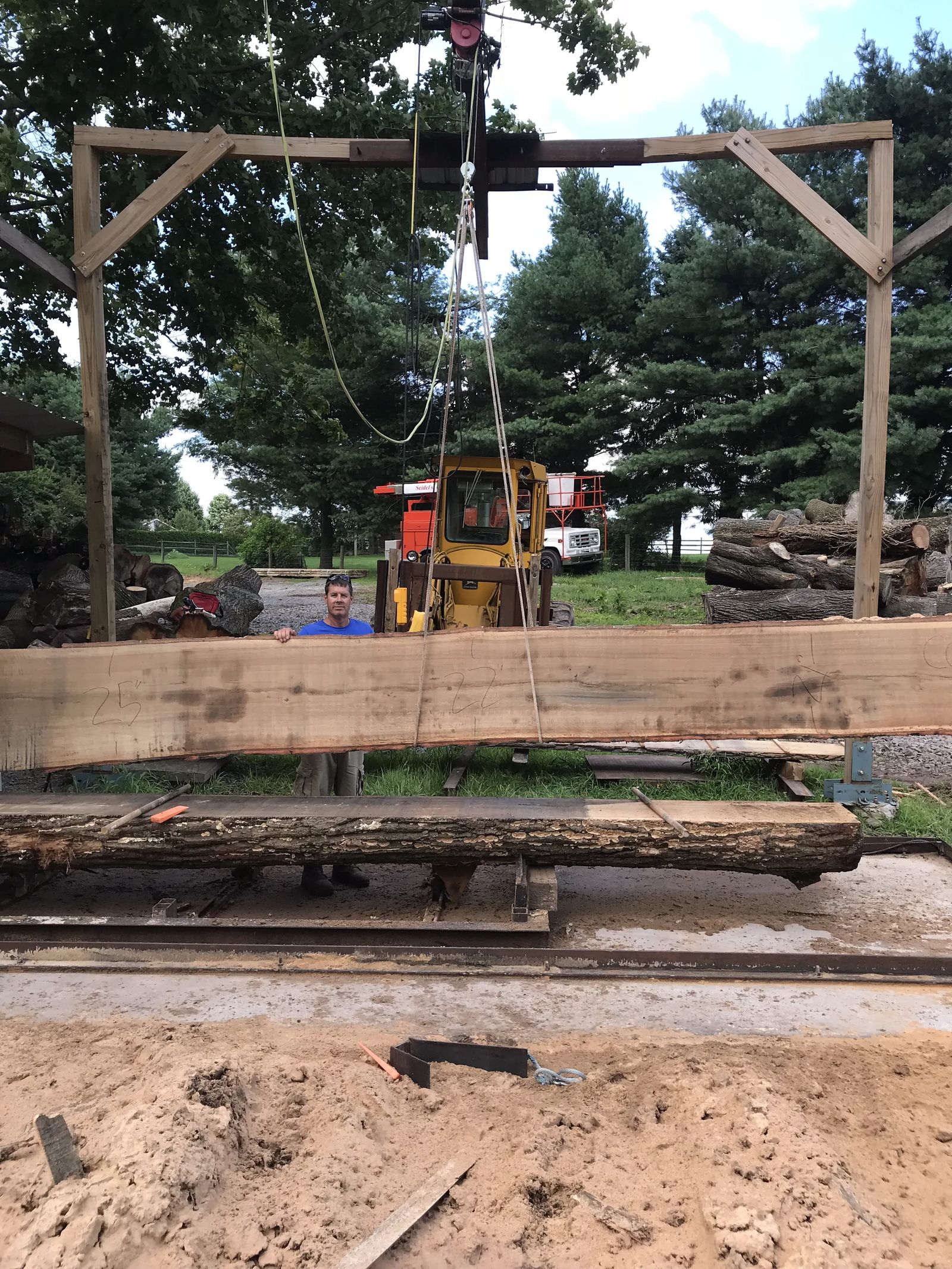 large live edge wood slab