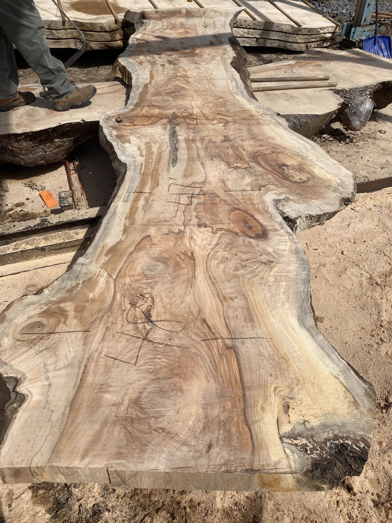 unique wood slabs